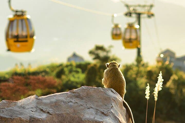 Golden Bridge & Ba Na Hills: Private Day Tour with Chauffeur photo 3