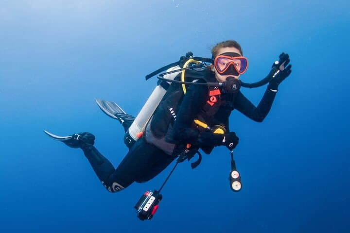 Two Dives in Fujairah for Certified Divers — Half-Day Boat Scuba Trip photo 3
