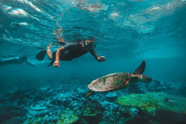 Two Dives in Fujairah for Certified Divers — Half-Day Boat Scuba Trip photo 4