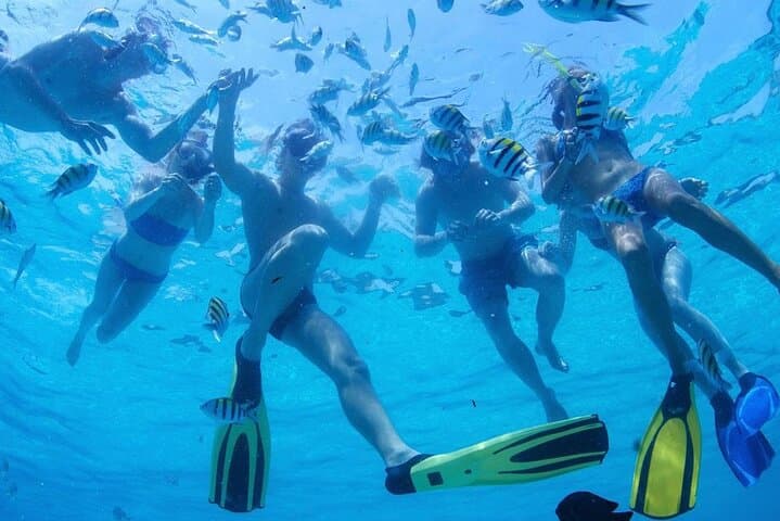 Two Dives in Fujairah for Certified Divers — Half-Day Boat Scuba Trip photo 5