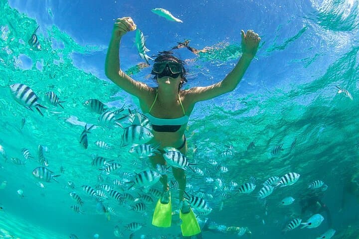 Fujairah Discovery Scuba Diving & Snorkeling from Dubai — Dibba Reef Day Trip photo 2
