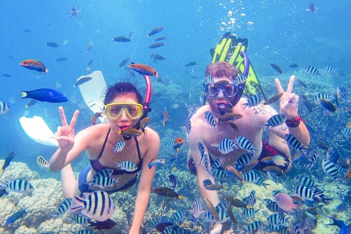 Fujairah Discovery Scuba Diving & Snorkeling from Dubai — Dibba Reef Day Trip photo 3