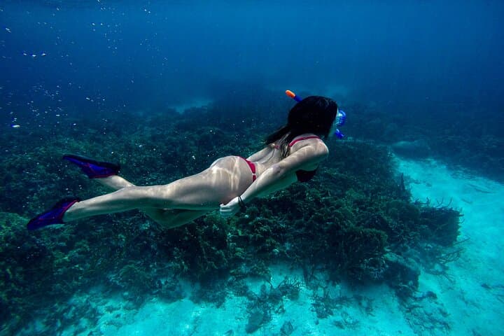 Fujairah Discovery Scuba Diving & Snorkeling from Dubai — Dibba Reef Day Trip photo 4