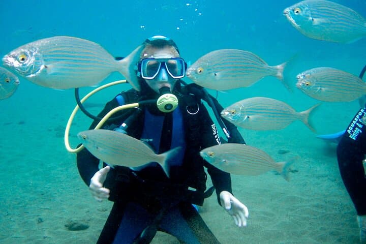 Fujairah Discovery Scuba Diving & Snorkeling from Dubai — Dibba Reef Day Trip photo 6