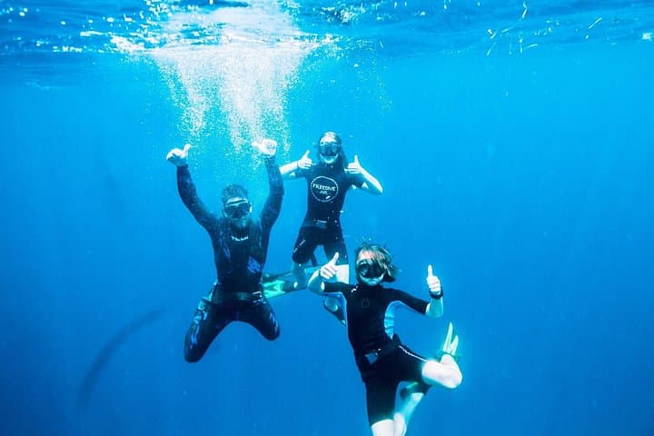 Snorkel with Weedy Sea Dragons in Port Phillip Bay — Mornington Peninsula photo 4