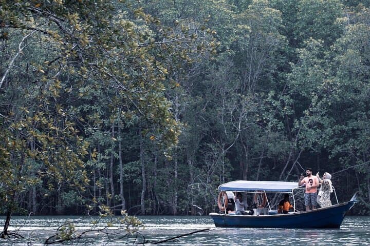 Mangrove River Cruise at Langkawi's Kilim Nature Park: Bat Caves, Eagles & Limestone Cliffs photo 2
