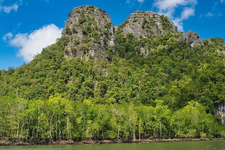 Mangrove River Cruise at Langkawi's Kilim Nature Park: Bat Caves, Eagles & Limestone Cliffs photo 1