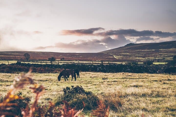 Devon Geo-Scavenger Hunt: Hidden Gems & Big Britain Quiz (7-Day Pass) photo 5