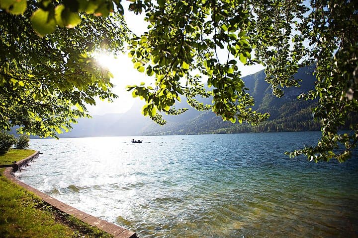 Sunrise to Sunset Phototour: Lake Bled, Pokljuka & Bohinj in One Day photo 4