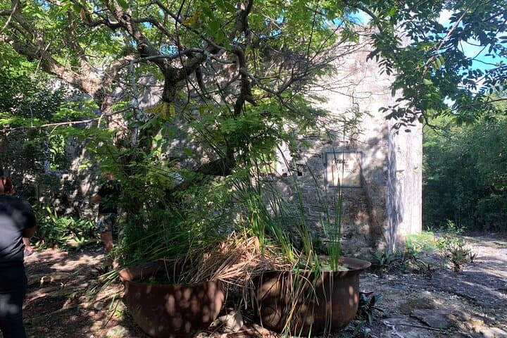 Island Discovery: North & Middle Caicos Day Tour to Mudjin Harbour and Caves photo 2
