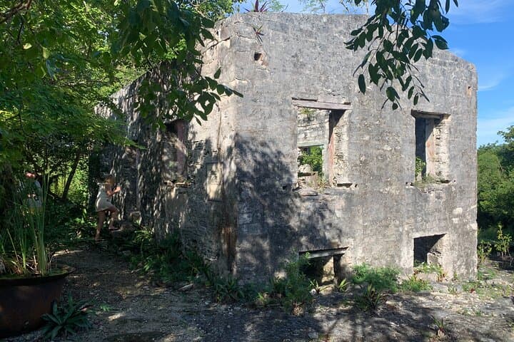 Island Discovery: North & Middle Caicos Day Tour to Mudjin Harbour and Caves photo 3