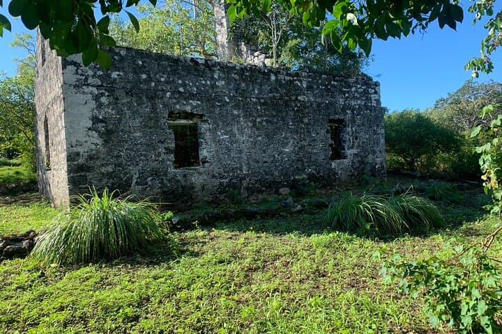 Island Discovery: North & Middle Caicos Day Tour to Mudjin Harbour and Caves photo 5