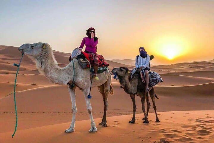 Merzouga Desert Trek: 3-Day Erg Chebbi Camel & Bivouac Adventure from Marrakech photo 3