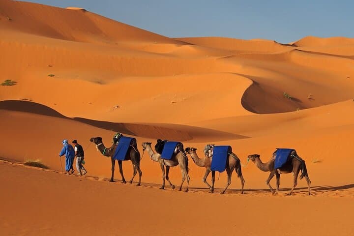 Merzouga Desert Trek: 3-Day Erg Chebbi Camel & Bivouac Adventure from Marrakech photo 4