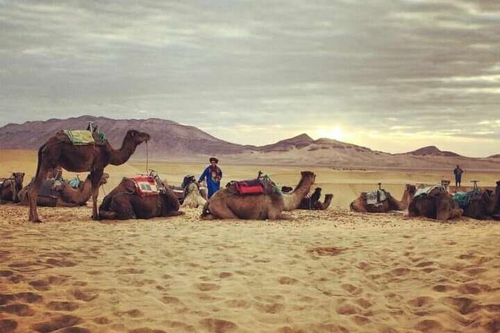Zagora Desert Trek: 2-Day Sahara Camel Camp from Marrakech photo 2
