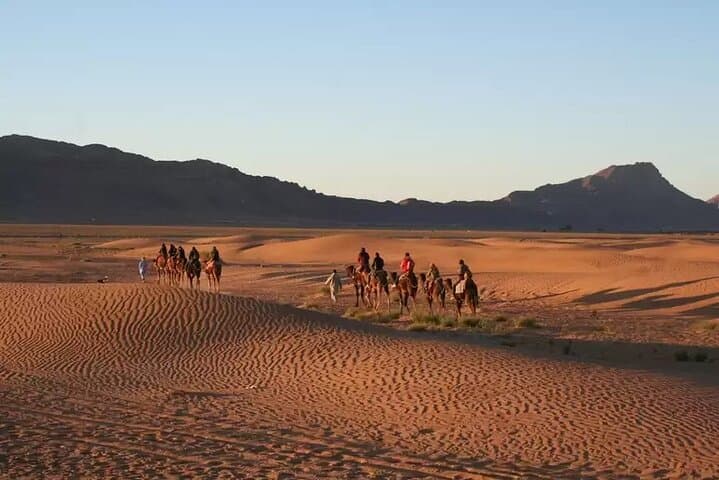 Zagora Desert Trek: 2-Day Sahara Camel Camp from Marrakech photo 3
