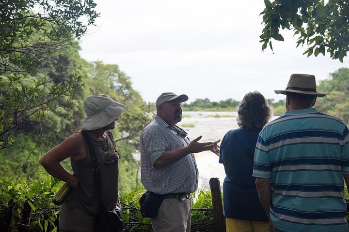 Guided Tour of Victoria Falls: Rainforest Walk and Viewpoints with Hotel Pickup photo 2