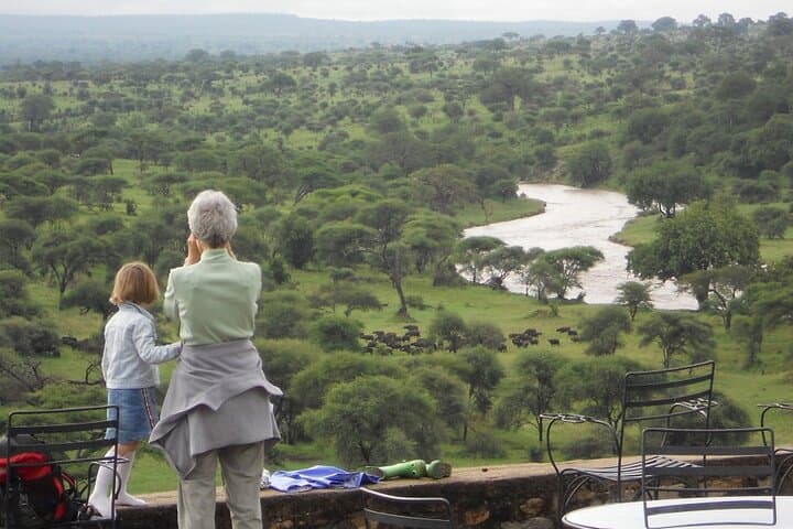 3-Day Private Safari: Tarangire & Ngorongoro with a Kilimanjaro Day Hike photo 4
