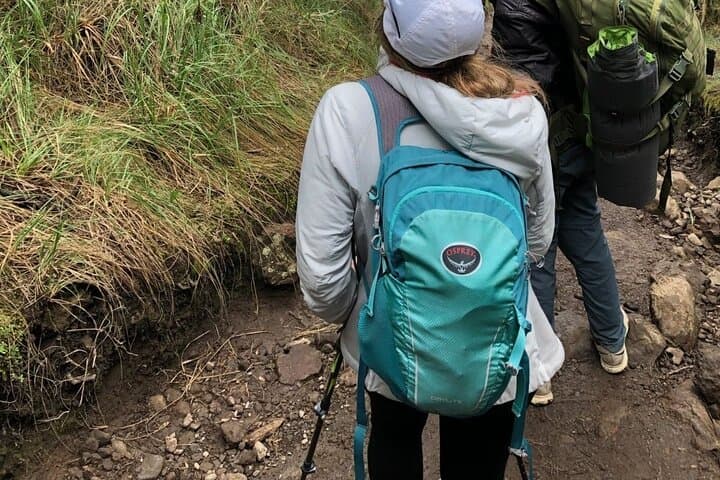 Rongai Route 6-Day Kilimanjaro Climb — Summit via the Quiet Eastern Flank