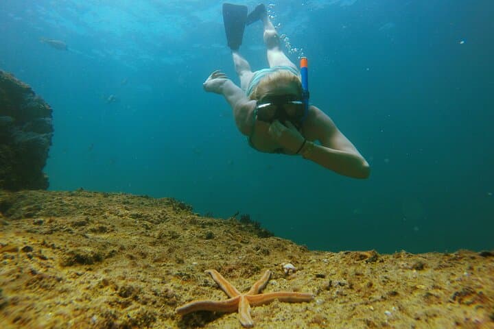 Sunset Snorkel Aboard a Luxury 42' Yacht in Cabo San Lucas photo 5