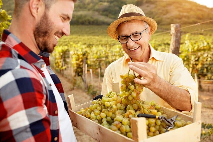 Exclusive Napa Valley Wine Tour from San Francisco — Private 8-Hour Tasting photo 3