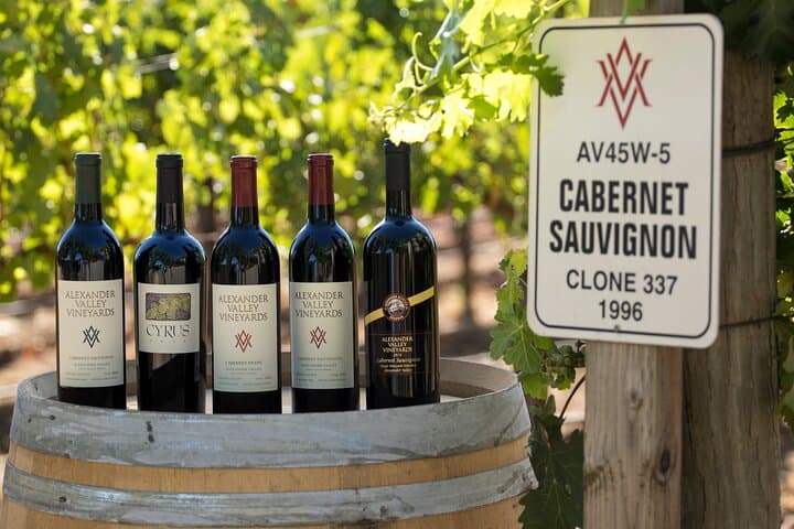 Exclusive Napa Valley Wine Tour from San Francisco — Private 8-Hour Tasting photo 6