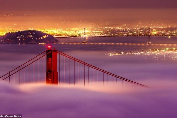 SFO Airport Transfer and Private 2-Hour San Francisco Sightseeing Tour photo 6