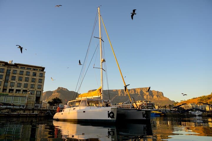 Cape Town Catamaran Cruise: V&A Waterfront to Robben Island & Table Mountain Views photo 2