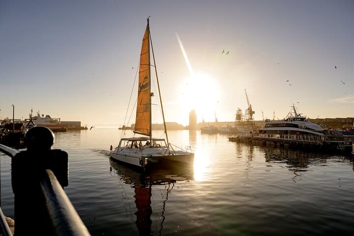 Cape Town Catamaran Cruise: V&A Waterfront to Robben Island & Table Mountain Views photo 5