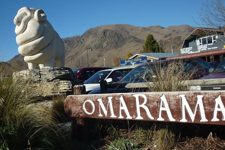 Mt Cook & Tasman Glacier Viewpoint: Small-Group Day Tour from Queenstown photo 6