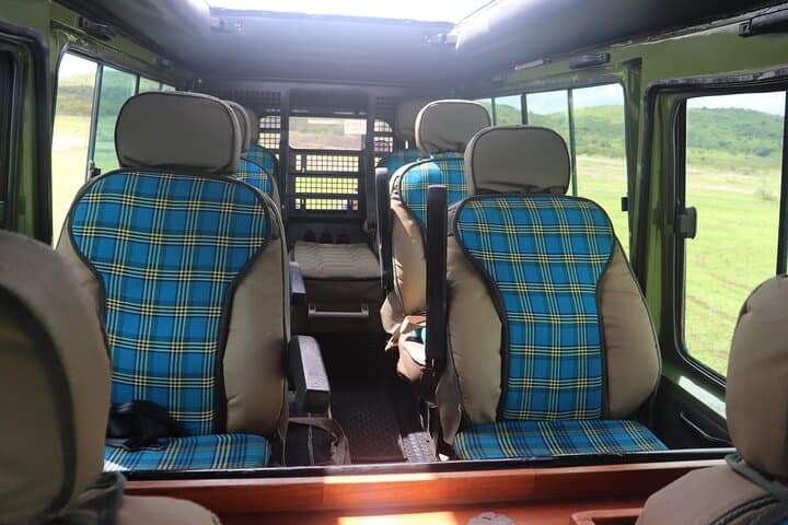 Full-Day Tarangire National Park Safari: Elephants, Baobabs & River Views photo 4