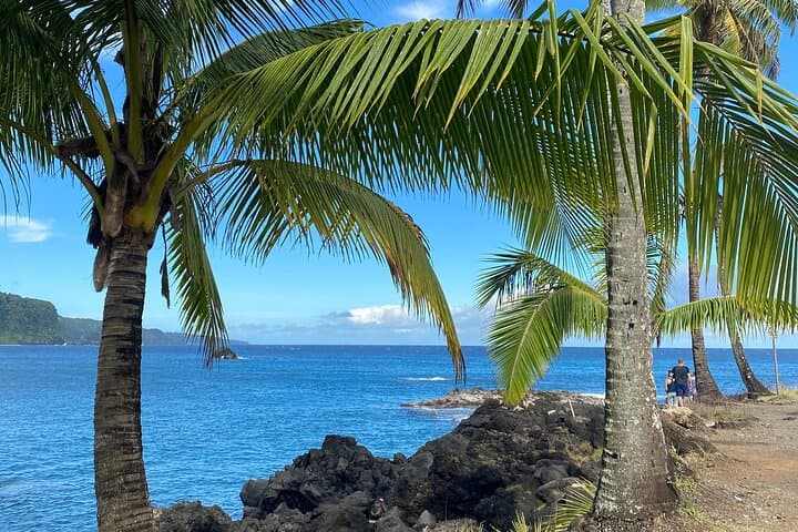 Hana Rainforest Tour: Road to Hana, Black Sand Beach & Waterfall Swim photo 4