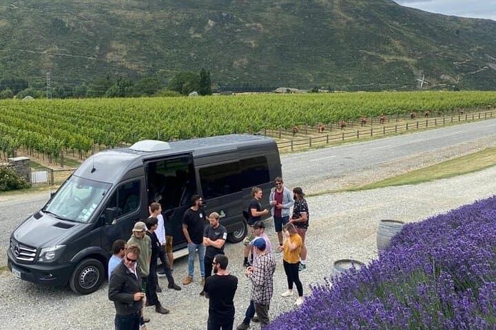 Queenstown VIP Wine Drop & Hop Tour — Arrowtown and Gibbston Valley Wineries photo 4