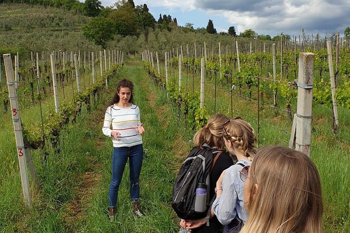 Chianti Wine Tour from Florence: Two Historic Estates, Tastings & Tuscan Lunch photo 2