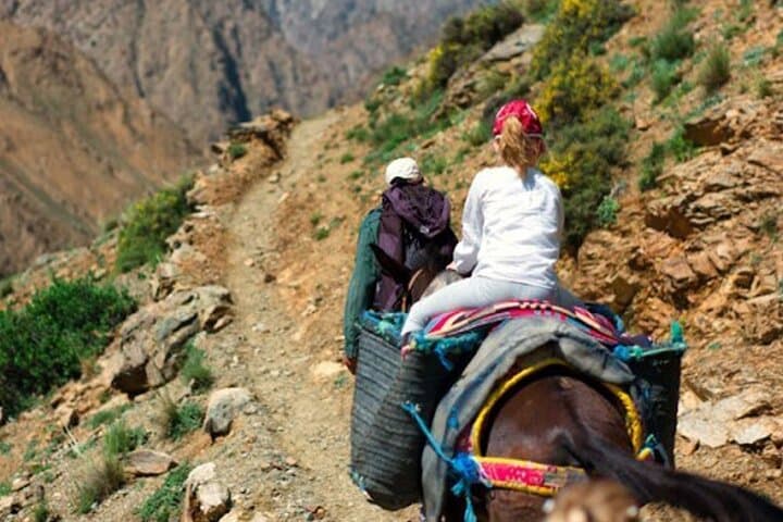 4-Day Atlas Trek: Berber Villages, Waterfalls & High Passes photo 3