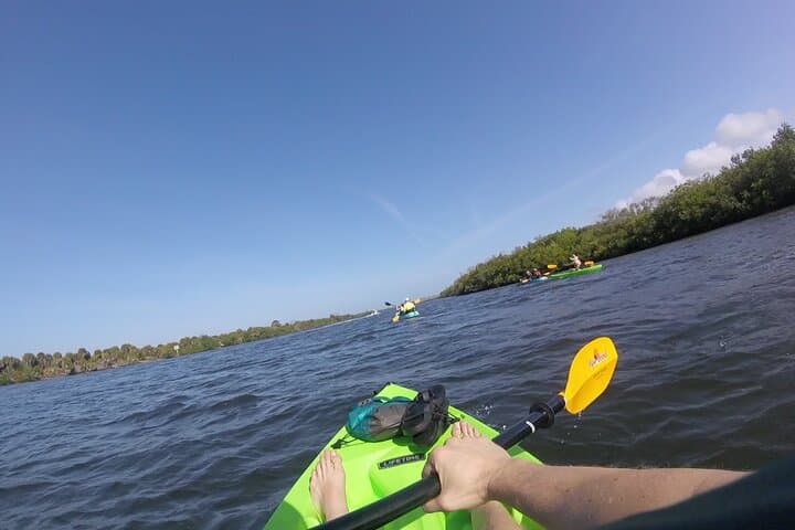 Paddle the Canals of Venice, FL: South Venice Beach Kayak Tour photo 3