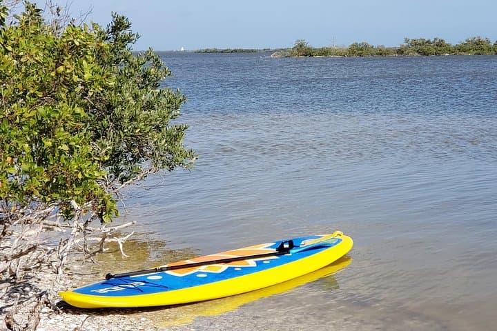 Indian River Lagoon Stand-Up Paddle Wildlife Tour — Titusville, FL photo 1