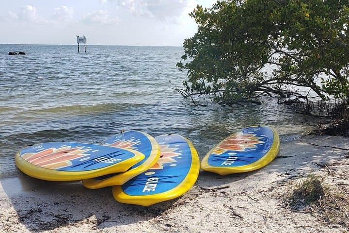 Indian River Lagoon Stand-Up Paddle Wildlife Tour — Titusville, FL photo 3