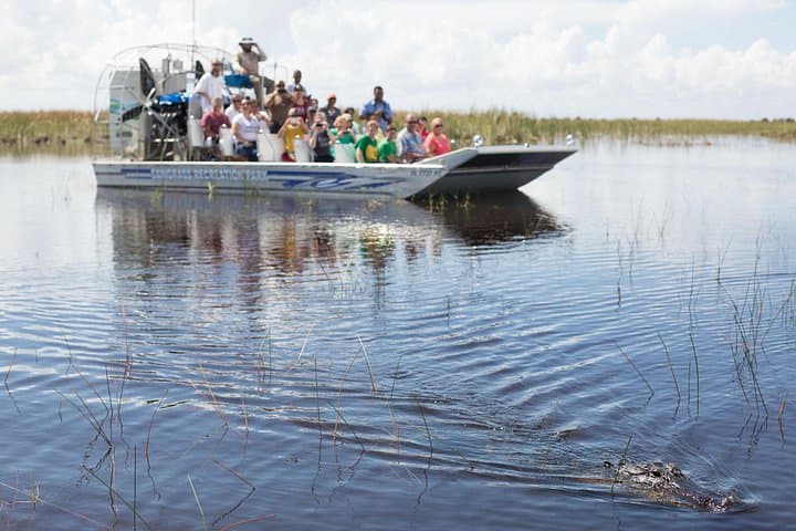 Everglades Airboat Ride & Wildlife Show at Sawgrass Recreation Park photo 3