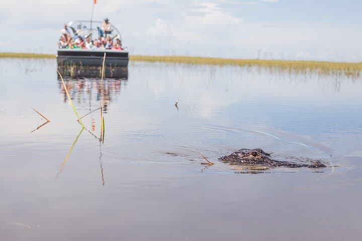 Everglades Airboat Ride & Wildlife Show at Sawgrass Recreation Park photo 4