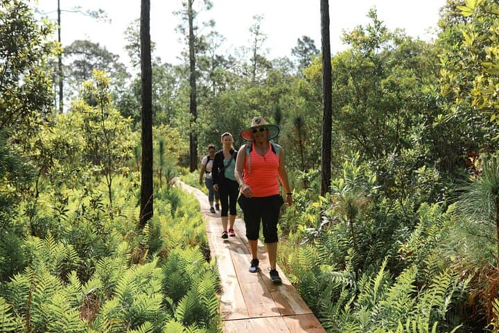 Central Florida Nature Walk and Yoga at Fox Lake Sanctuary photo 3