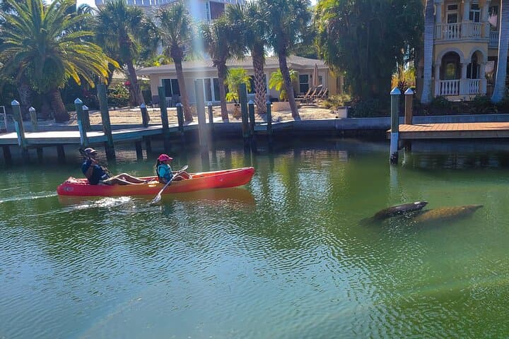 Siesta Key Mangrove Kayak Tour to a Secret Beach