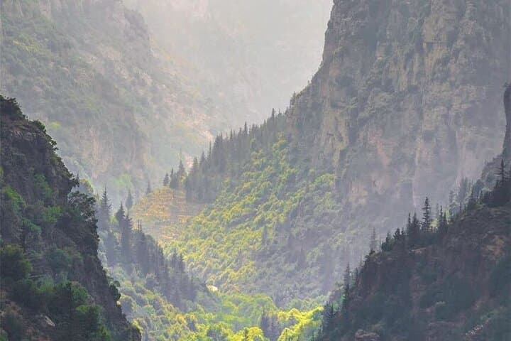 8-Day Lebanon Itinerary from Beirut: Roman Ruins, Cedars & Coastal Towns photo 4