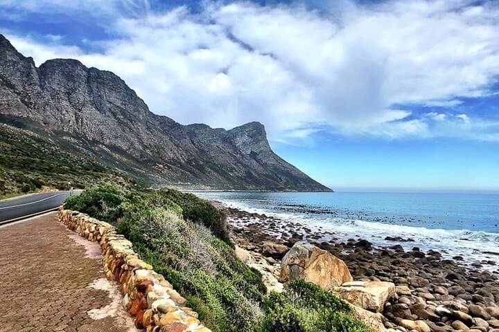 Hermanus Whale Watching & Stony Point Penguin Day Tour from Cape Town photo 4