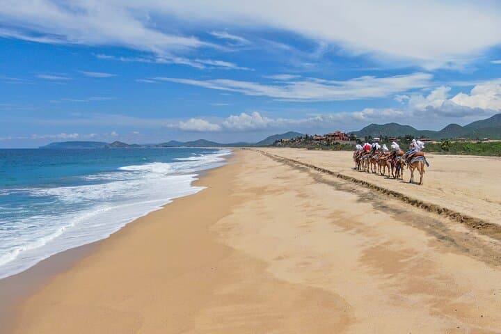 Cabo ATV and Camel Beach Combo with Tequila Tasting photo 6