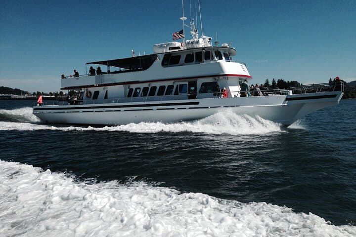 Whale Watching from Friday Harbor: Orcas & Salish Sea Wildlife Cruise photo 2