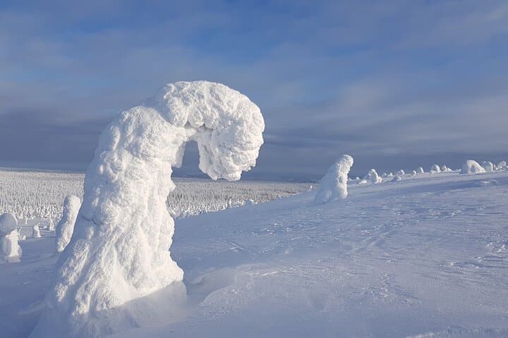 Snowshoeing Riisitunturi National Park: Guided Winter Walks in Lapland photo 3