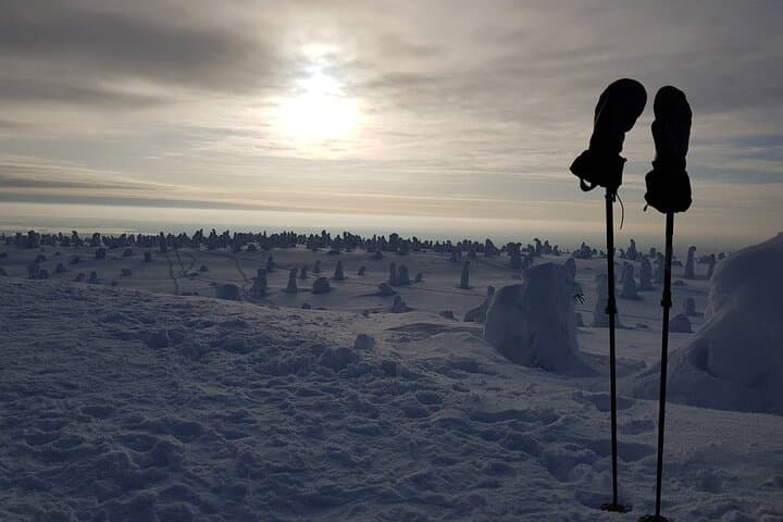 Snowshoeing Riisitunturi National Park: Guided Winter Walks in Lapland photo 4