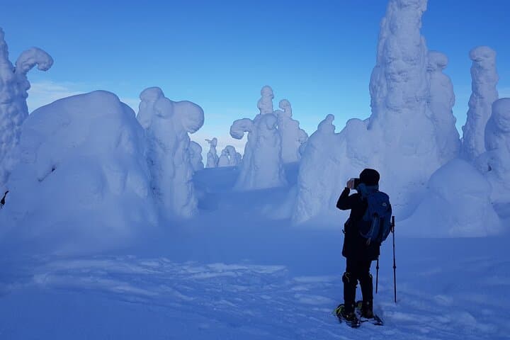 Snowshoeing Riisitunturi National Park: Guided Winter Walks in Lapland photo 2