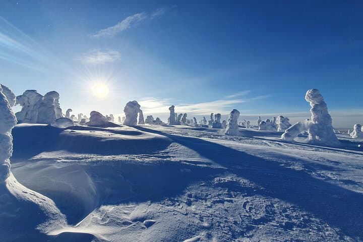 Snowshoeing Riisitunturi National Park: Guided Winter Walks in Lapland photo 1